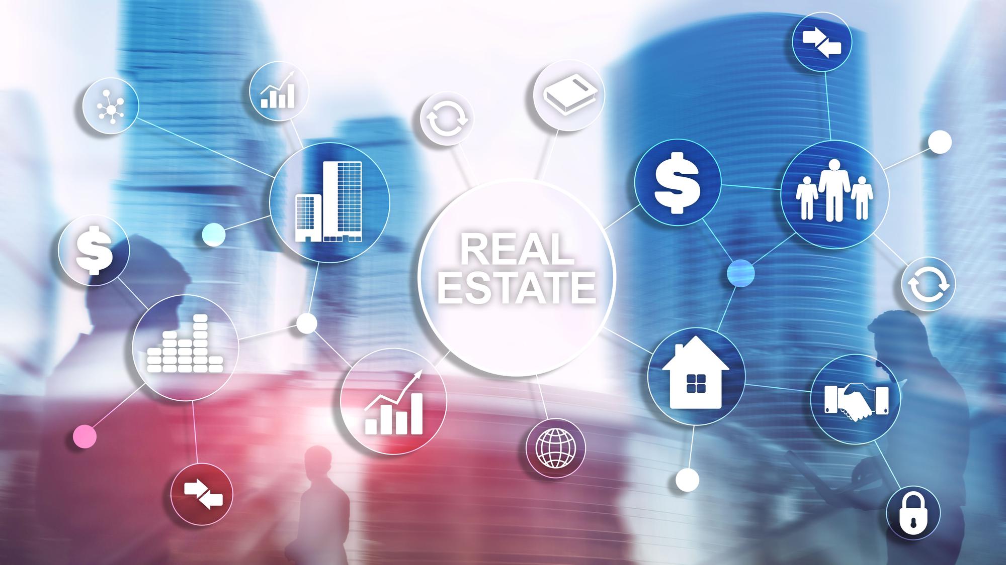 Grafic servicii consultanta imobiliare
